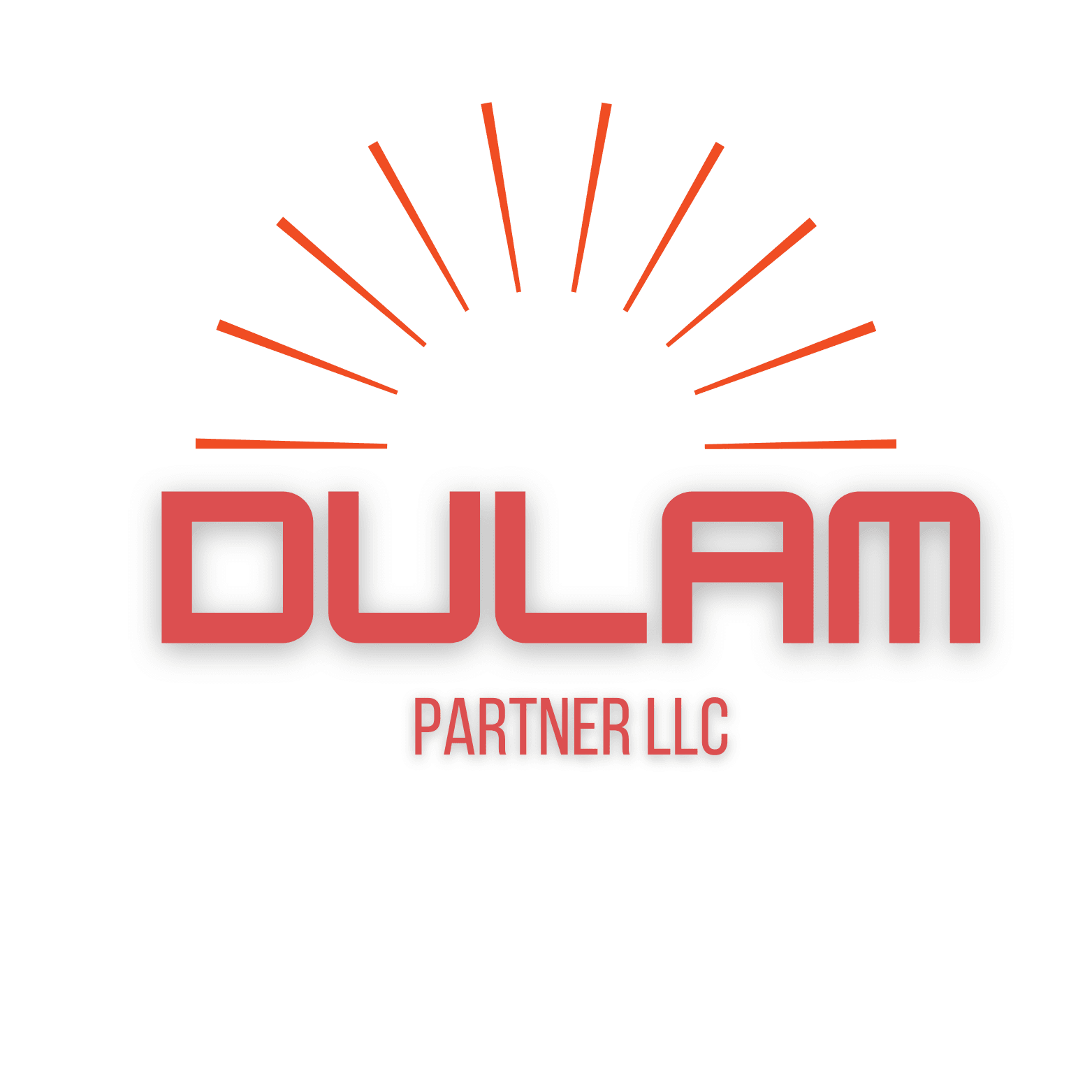 Dulam Partner LLC